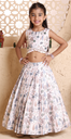 Morbagh Print Lehenga Set