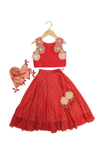 3D Floral Lehenga Set