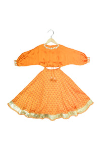 Mirror Embroidered Printed Lehenga Set
