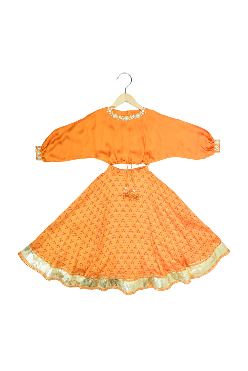 Mirror Embroidered Printed Lehenga Set
