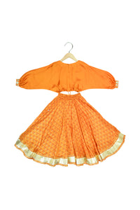 Mirror Embroidered Printed Lehenga Set