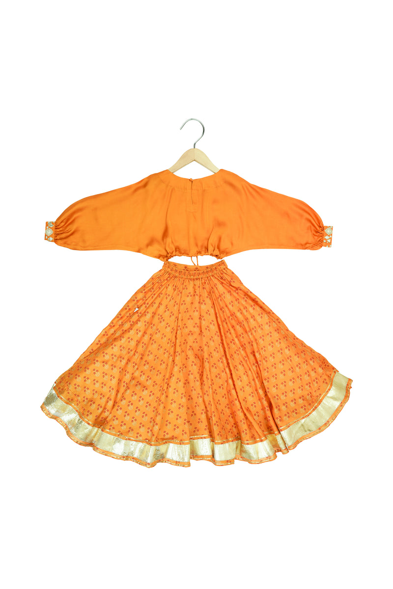 Mirror Embroidered Printed Lehenga Set